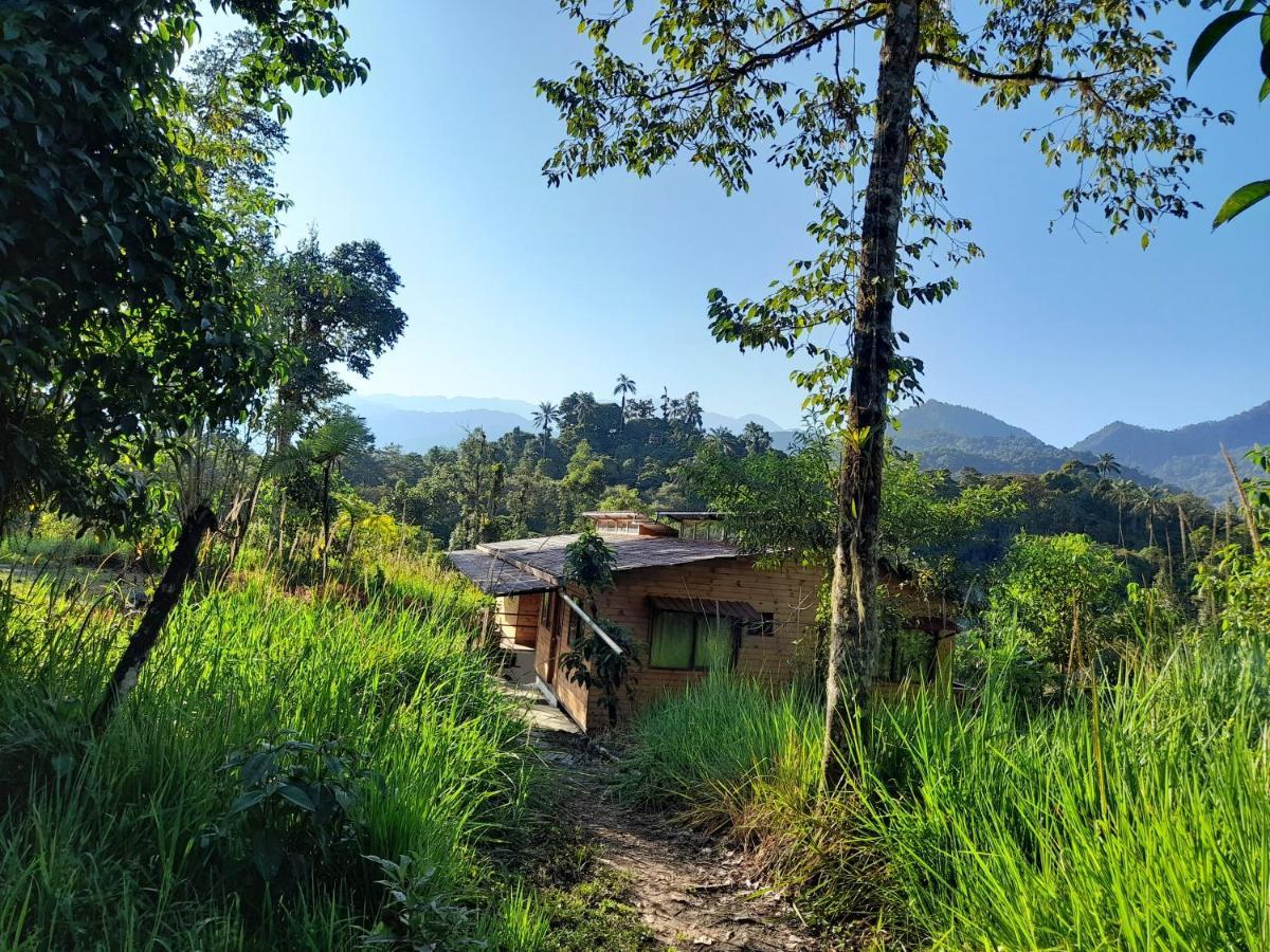 Sendero De Las Aves Миндо Экстерьер фото