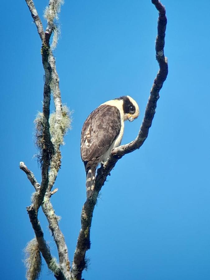 Sendero De Las Aves Миндо Экстерьер фото
