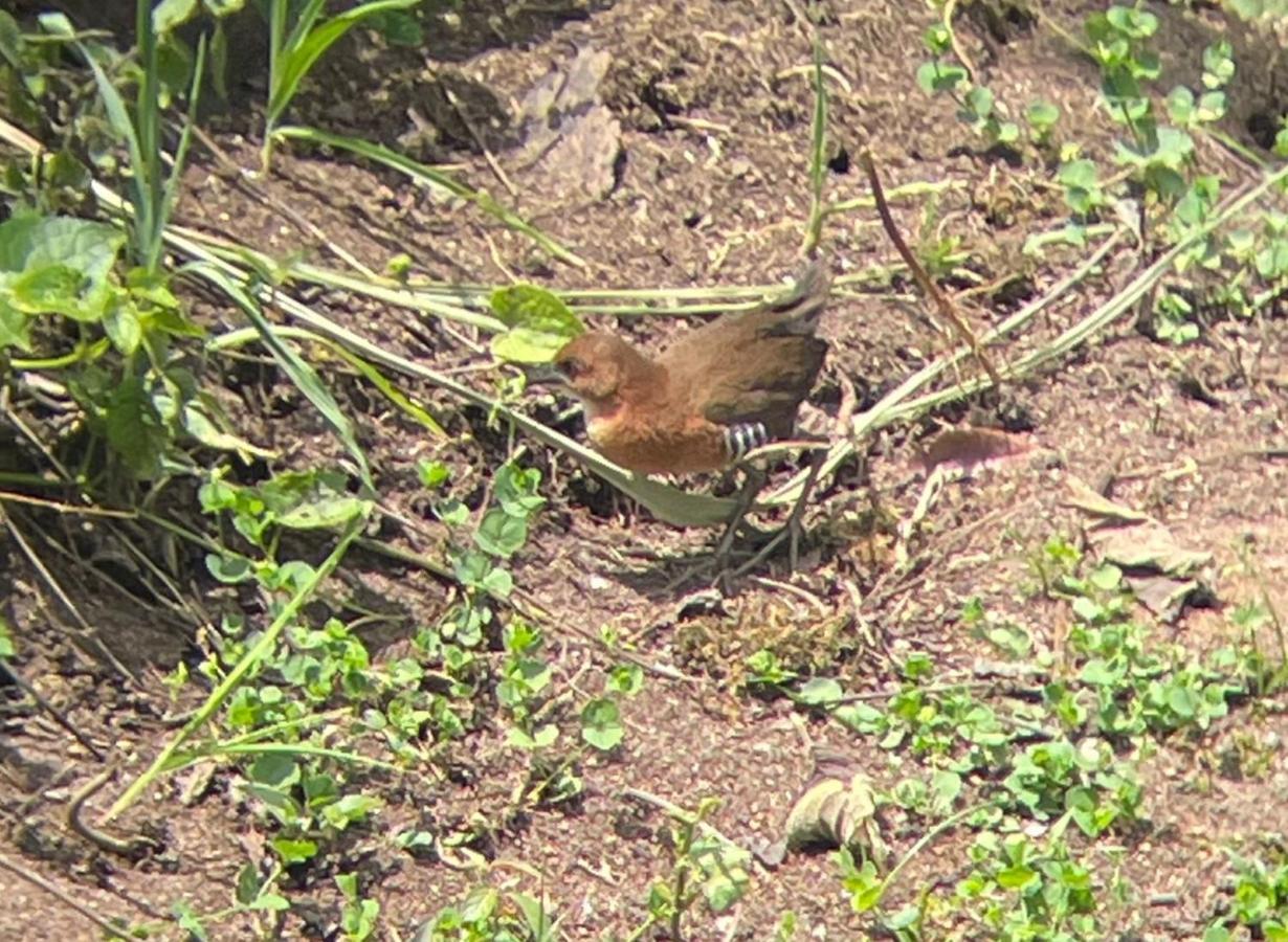 Sendero De Las Aves Миндо Экстерьер фото