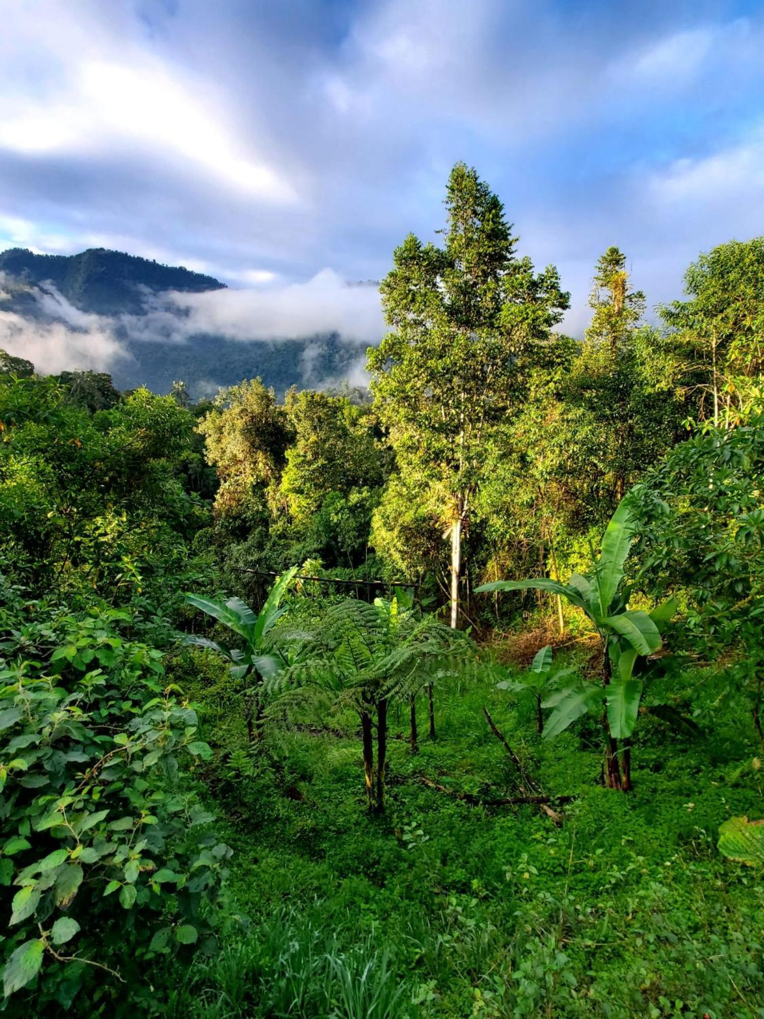 Sendero De Las Aves Миндо Экстерьер фото